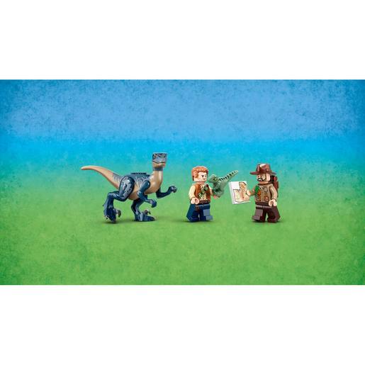 LEGO Jurassic World - Velociraptor: missão de resgate com Biplano - 75942 |  LEGO HARRY POTTER | Loja de brinquedos e videojogos Online Toysrus