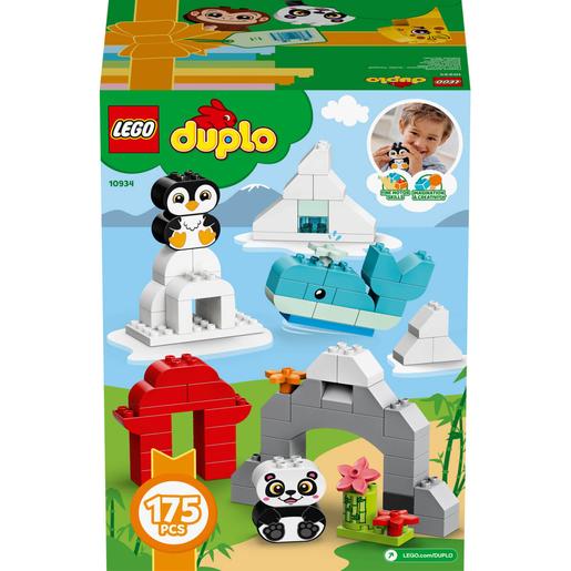 LEGO Duplo - Animais Criativos - 10934 | Duplo tijolos e placas | Loja de  brinquedos e videojogos Online Toysrus